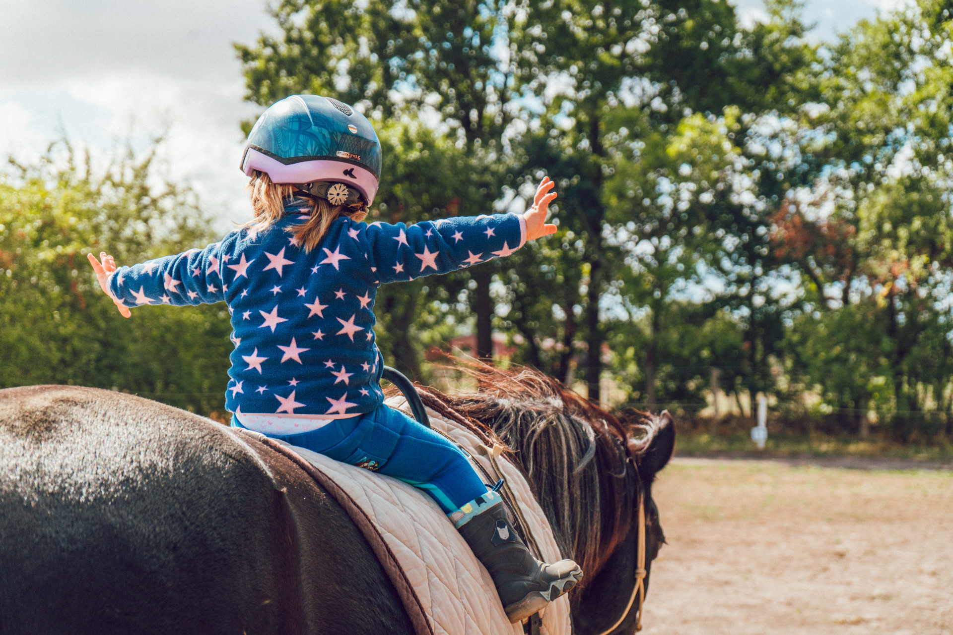 Immagine Cavallo 2